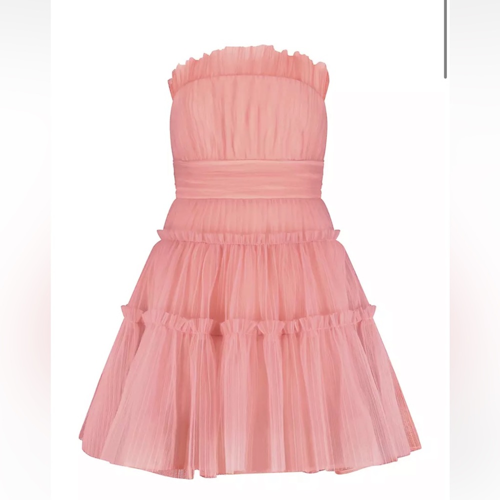 BCBGMAXAZRIA Tulle Corseted Mini Dress